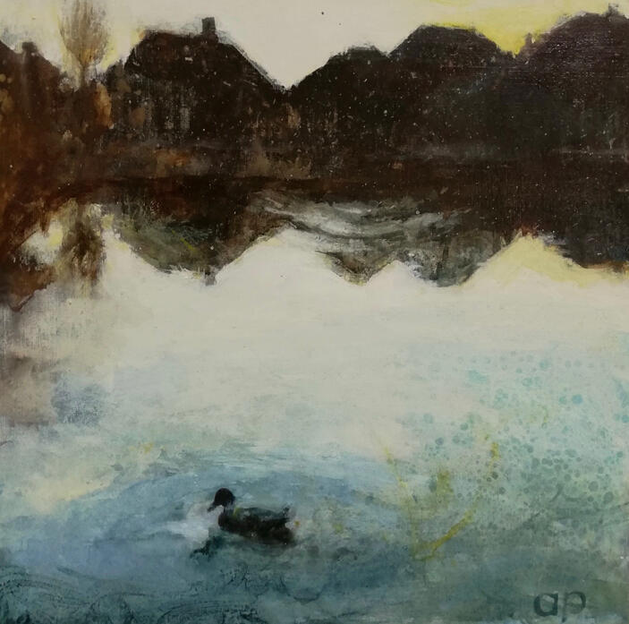 A duck in the afternoon